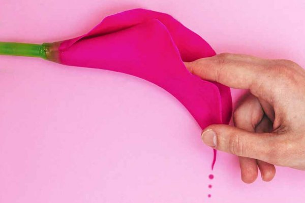 Kızlık Zarı Yırtılınca Kanama Ne Kadar Olur?